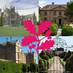 South Somerset NT (@southsomersetnt) Twitter profile photo South Somerset NT (@southsomersetnt) Twitter profile photo