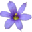 BermudaLinens's profile image