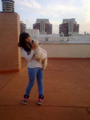 alba(L)