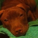 Danny Alan - @NaShABoY2121 - Twitter