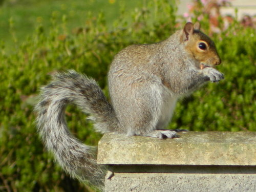 zmith101's profile picture. 