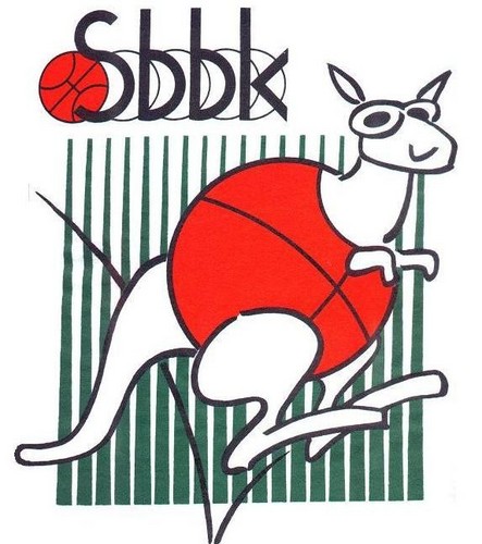 BasketStevoort's profile picture. 