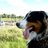 Hermann_D's profile image