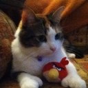 Carroll Sylvia - @sylvia_carroll - Twitter