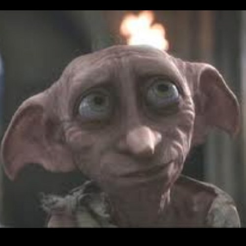 thestralgalleon's profile picture. New Potterhead account! Avada Kedavra, your're dead..... no i'm not, I'm Harry Potter! XD HA