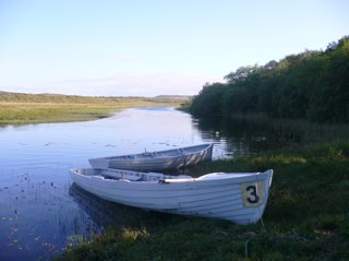 Beltraman's profile picture. 