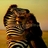 bkwonjo's profile image
