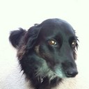 cheryl neely - @NeelyCheryl - Twitter