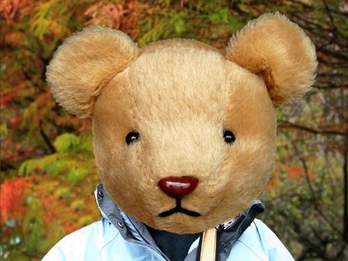 コメントやメッセージなど交換出来たら嬉しいです。