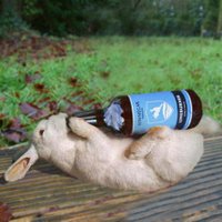 Kinnegar Brewing(@KinnegarBrewing) 's Twitter Profile Photo