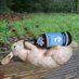 Kinnegar Brewing (@kinnegarbrewing) Twitter profile photo Kinnegar Brewing (@kinnegarbrewing) Twitter profile photo