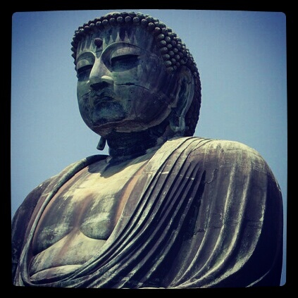 increment_plus's profile picture. 