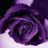هدى القلاف (@khosh_teeb) 's Twitter Profile Photo