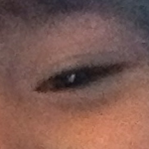 egeuzebroek's profile picture. Eigenaar tandtechnisch laboratorium, wijnliefhebber, en toekomst onderzoeker.