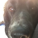 danielle sadler - @packer_danielle - Twitter