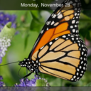 Doris Tanner - @dmtunltd - Twitter