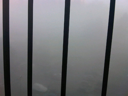 edgardoperroni's profile picture. 