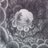 brainbaists's profile image