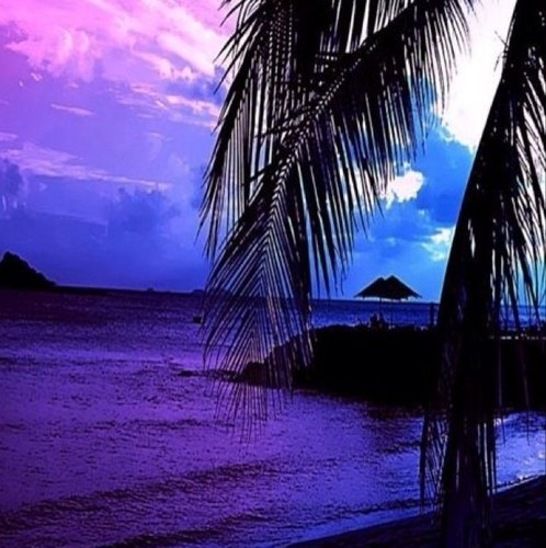 Abu_Turkii07's profile picture. 