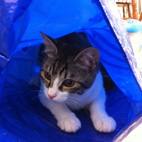 ryuryu0823's profile picture. Twitterは主に情報収集で使用。あまり発言はしないけど、たまにつぶやきます。