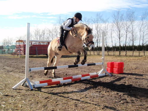 aba2347's profile picture. 