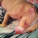 kelsey herbert - @HerbertKelsey - Twitter