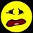 sorabji's profile image