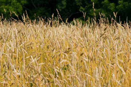 McGearyProducts's profile picture. 