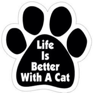 Love my furbabies and wouldn't be without them!! Will never grow up and will be young at heart forever ....