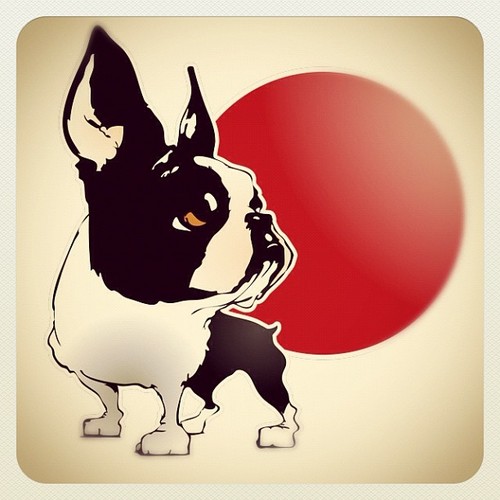 newsdalgiappone's profile picture. Notizie dal Sol Levante.