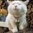 chibi_huna's profile image
