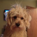 erika urso - @UrsoErika - Twitter