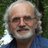 MORISSCH's profile image