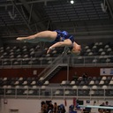 Amanda Prentice - @Amanda3828 - Twitter