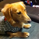 Ryo - @Johnny_Hendrix - Twitter