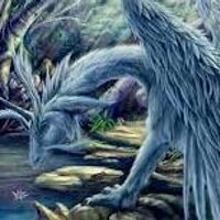CriticalDragon1177 (@criticaldragon1) 's Twitter Profile Photo CriticalDragon1177 (@criticaldragon1) 's Twitter Profile Photo