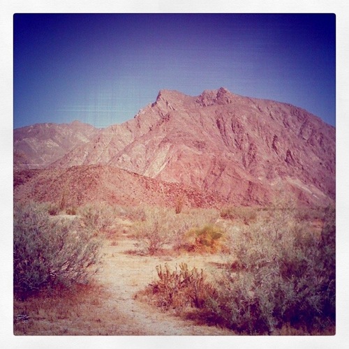 The know-it-all website for Borrego Springs, Ca., and Anza-Borrego Desert State Park. Tweeted by @Marciegee!