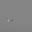 GerryBell - @GerryBell2 - Twitter