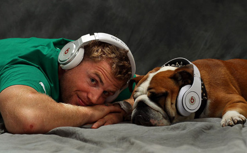 I'm Jamie Heaslip's Dog Jay Z, which makes me more of a worthwhile celeb than Craig Doyle