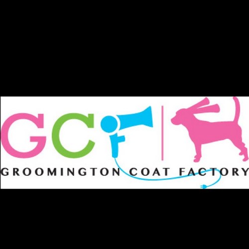 Groomington's profile picture. Mobile Dog Grooming Salon https://t.co/efxYmXoncF (201) 669-5170