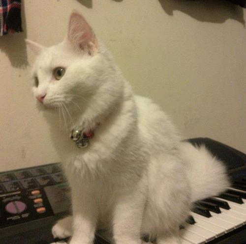 xshofi's profile picture. 