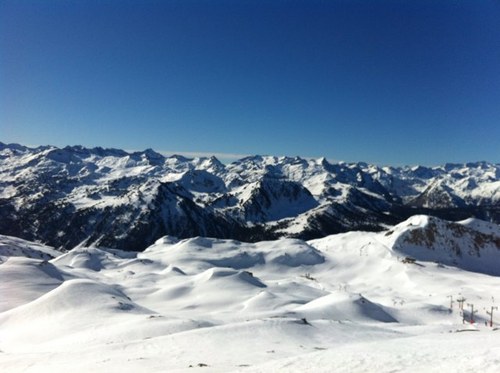 thortet's profile picture. 