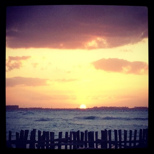 the_real_fink's profile picture. 