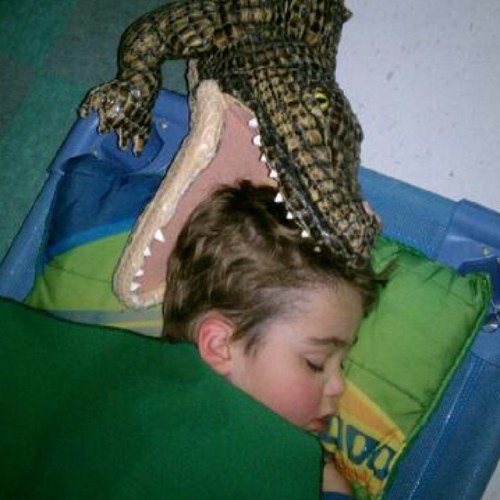 kathrynrh's profile picture. I have worked in several different educational settings from the classroom to the library to summer camp. I am a crazy person about books.