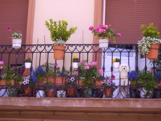 itwasanaccident's profile picture. 