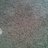 serranolucio10's profile image