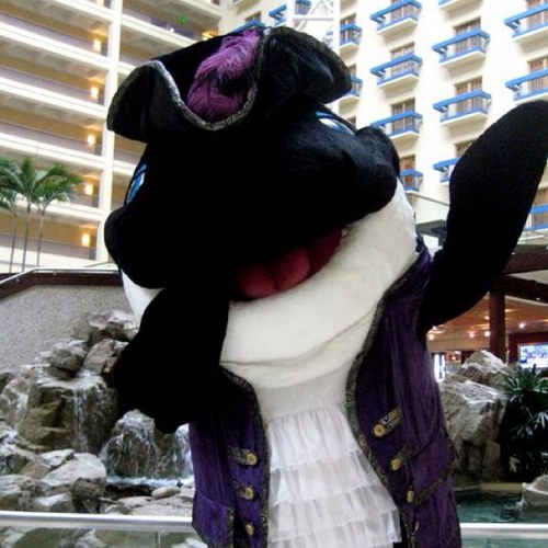 hi im shamu im a nice guy. im currently being held against my will in sea world. set me free and ill play nice. if you support me you are a shamuligan