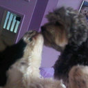 Jan Lamb - @janslamb_CSP - Twitter