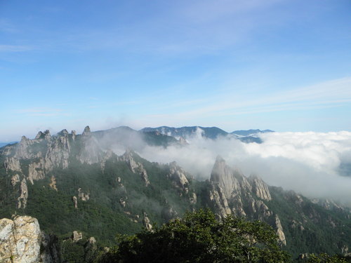 산\들\바다\데이트레이딩\부동산(공인중개사)