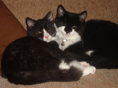 Liesjev1's profile picture. 